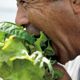 おいしい野菜の確かな信頼を自らの手で守り抜く