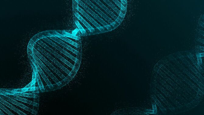 DNAのイメージ