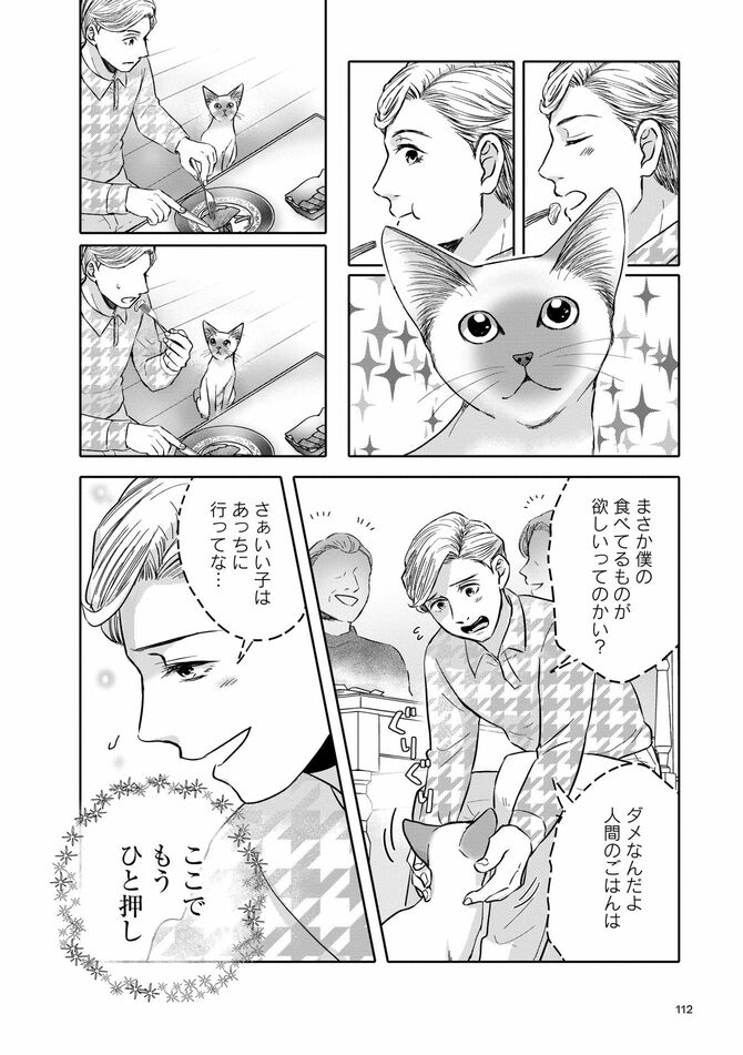 コミック『猫語の教科書』©沙嶋カタナ、ポール・ギャリコ／KADOKAWA	