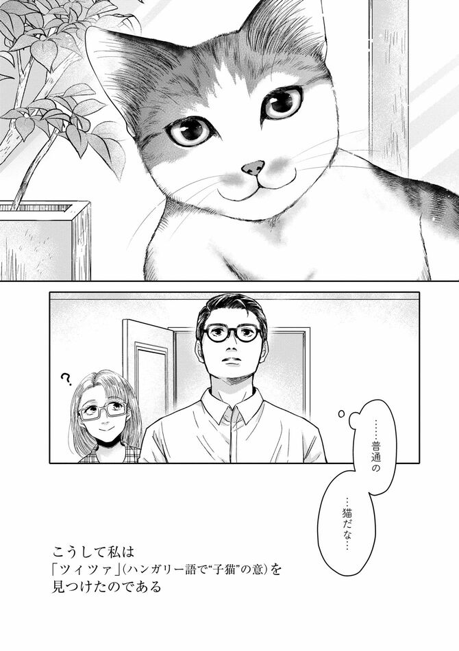 コミック『猫語の教科書』©沙嶋カタナ、ポール・ギャリコ／KADOKAWA