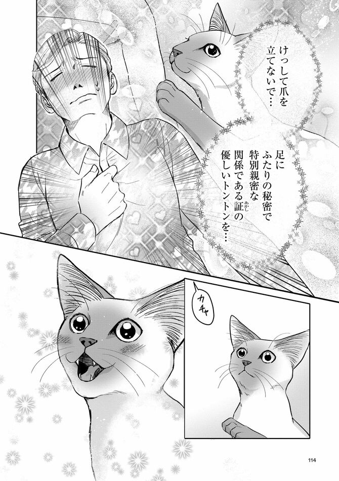 コミック『猫語の教科書』©沙嶋カタナ、ポール・ギャリコ／KADOKAWA	