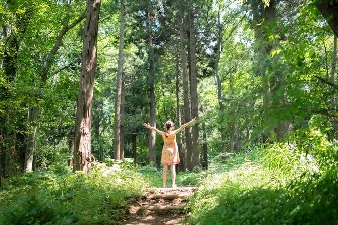 森の中で両手を広げる少女