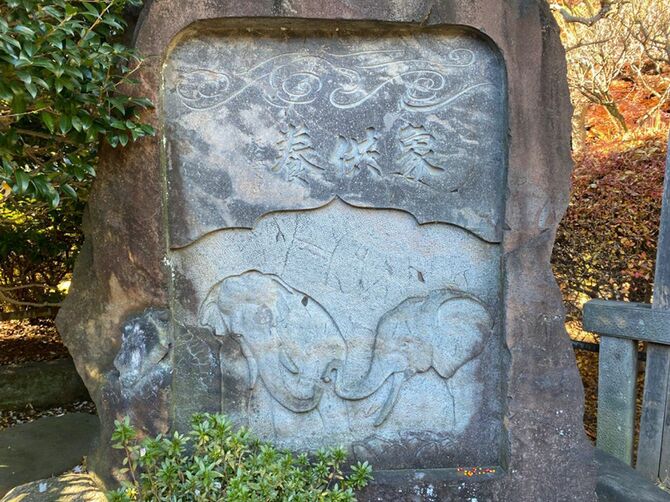 護国寺にある象の供養塔