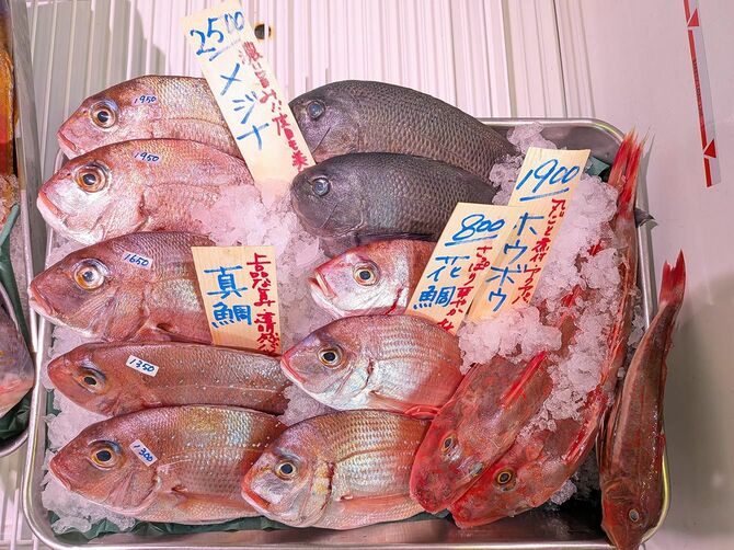 この日のメジナは2500円。同サイズのマダイを上回る価格だった