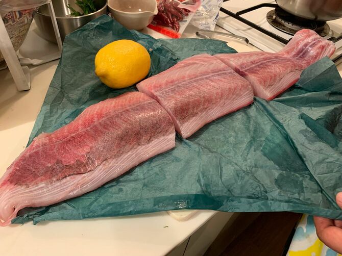 友人夫妻のお宅に持ち込んだシイラの半身（2500円）。3人ではとても食べ切れない