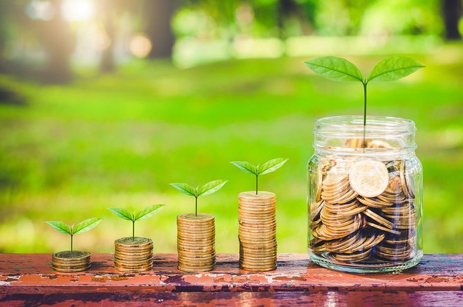 コインは、緑の植物が成長して木のテーブルの上に積み重ねます。お金節約ビジネスファイナンス成功富投資予算概念。スタートアップ計画。