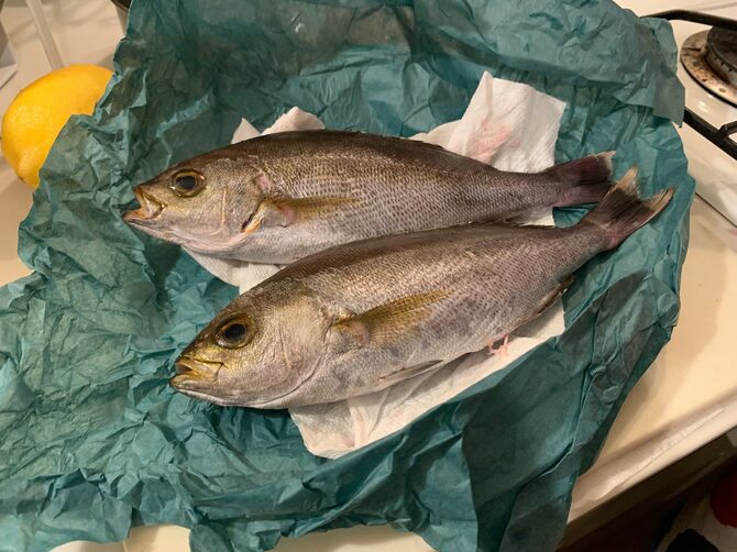 ビニール袋ではなく、キッチンペーパーと包装紙（グリーンパーチ）で魚を包んで渡してくれるのがサカナヤマルカマ流。魚のドリップを緩やかに吸収する効果があります