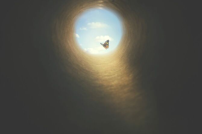 カラフルな蝶は、暗いトンネル、自由の概念からその方法を見つける