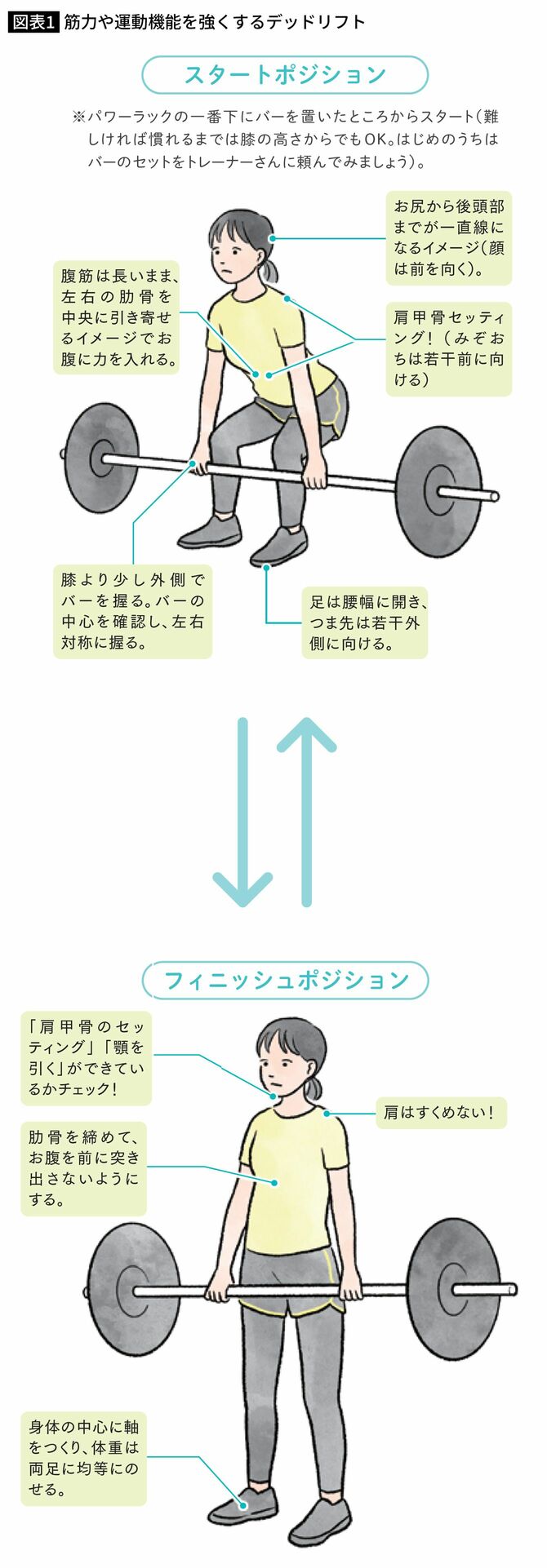 筋力や運動機能を強くするデッドリフト