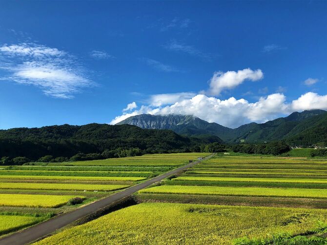 鳥取県大仙