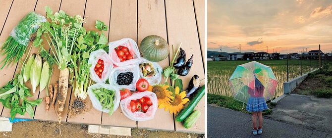 左／知人の畑にお邪魔していただいた色とりどりの夏野菜。右／自宅近くの田んぼの夕景と娘の後ろ姿。