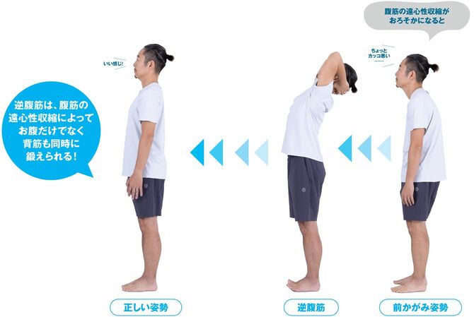 【図解】伸ばして鍛える逆腹筋