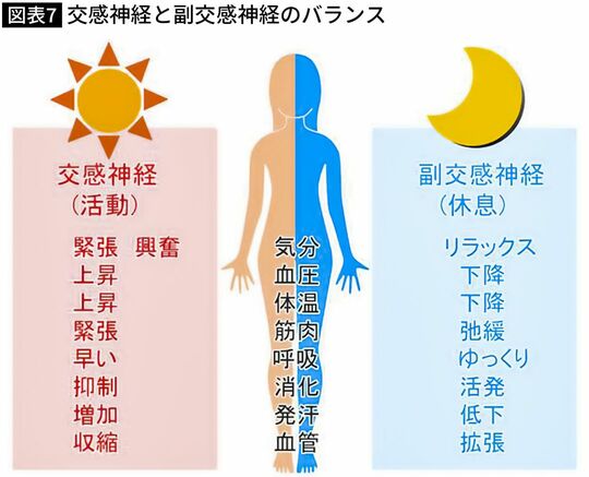 交感神経と副交感神経のバランス