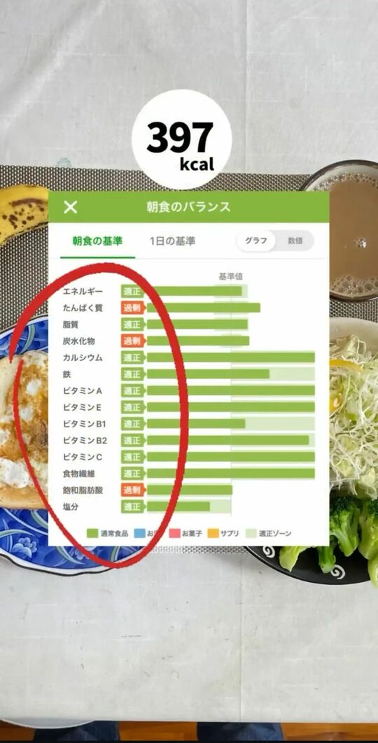 ある日の1食の栄養素グラフ