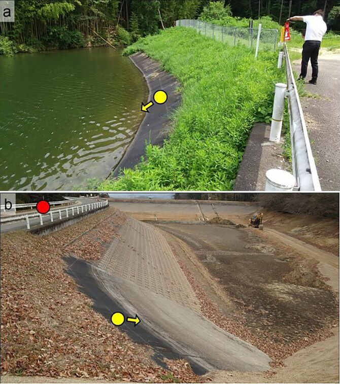 【画像4】2021年に親子が釣りをしていて亡くなった、香川県丸亀市のため池（a）満水状態、黄色の丸から滑落したと思われる（2021年7月撮影）。（b）かいぼり状態、黄色の丸の地点から滑落したと思われる。赤の丸印は（a）の撮影ポイント（2022年1月撮影）