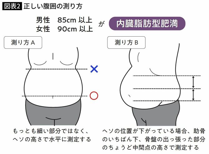 正しい腹囲の測り方