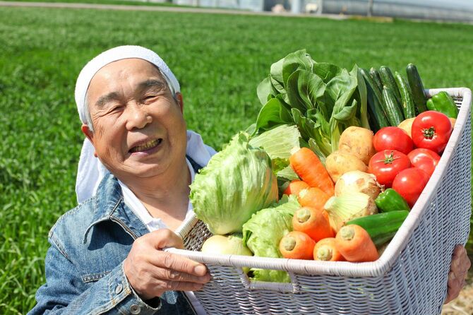 カゴに入った野菜を見せる農家