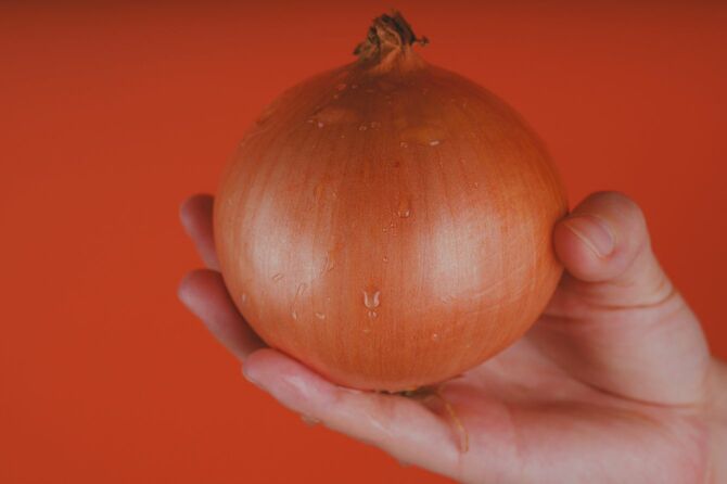 玉ねぎを持つ手元
