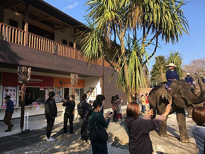 ドムドムハンバーガー 市原ぞうの国店