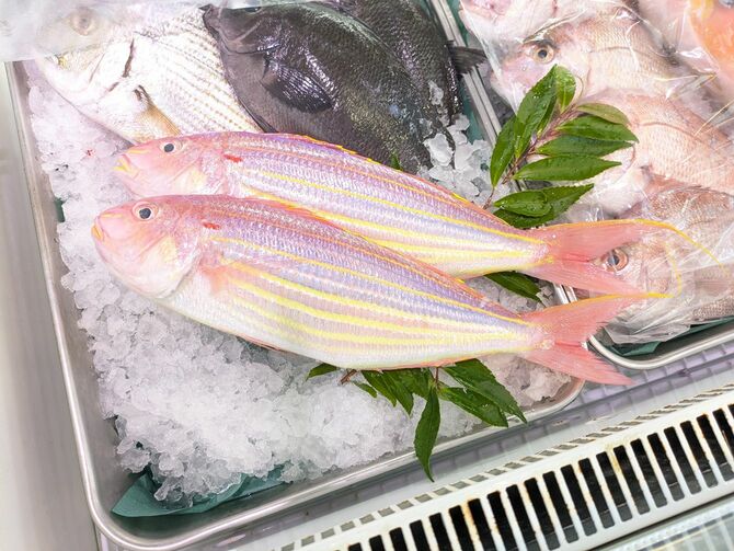 食欲が減退しがちな夏の食材は見た目も大事。涼やかで華やかなイトヨリを丸ごと食べる効用と方法を教わりました