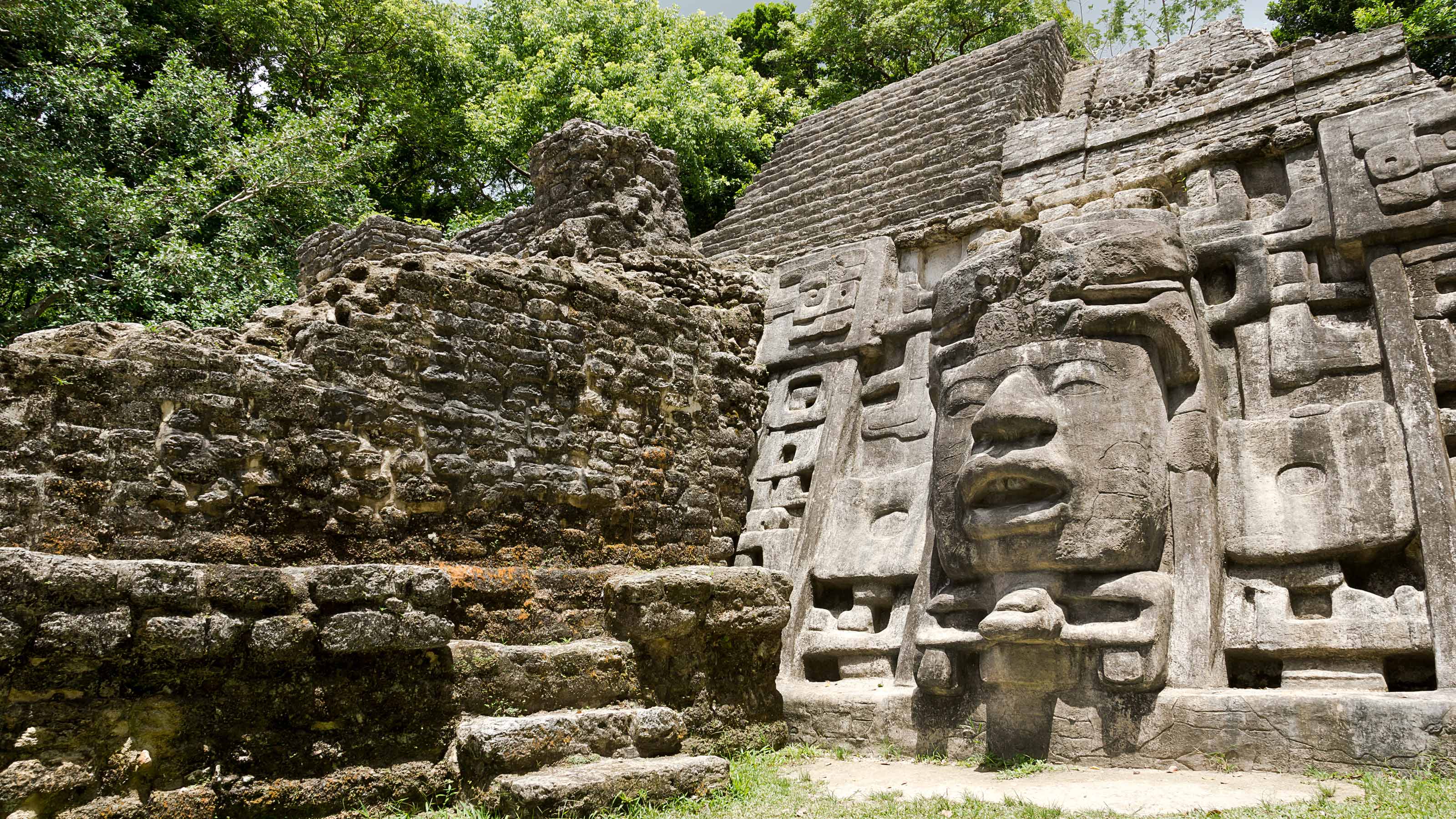 マヤ文明の遺跡400ヶ所 空からの測量で一挙発見 日本人考古学者率いる米チーム 米アリゾナ大学 猪俣健教授 President Online プレジデントオンライン
