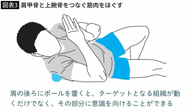 【図表3】肩甲骨と上腕骨をつなぐ筋肉をほぐす