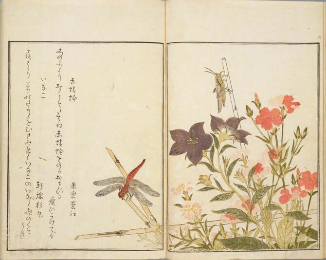 喜多川歌麿 筆 , 宿屋飯盛 撰『画本虫ゑらみ』