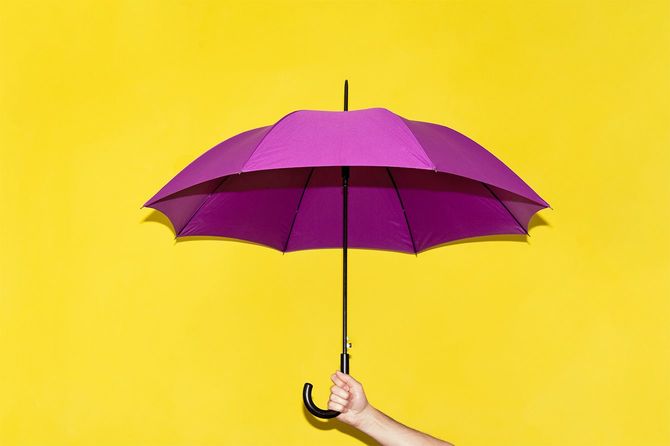 黄色いライムの壁の背景に紫色の傘