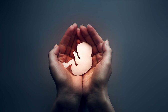 手のひらにのせた胎児の形の紙