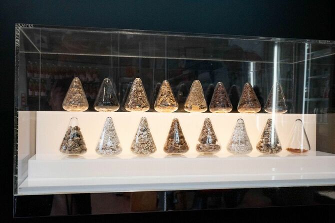 「赤たる保命酒」に使われる16種類の生薬