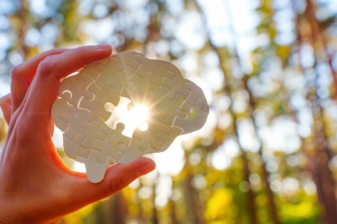 太陽の光を背景にした脳のような形をしたパズルピースを持つ手