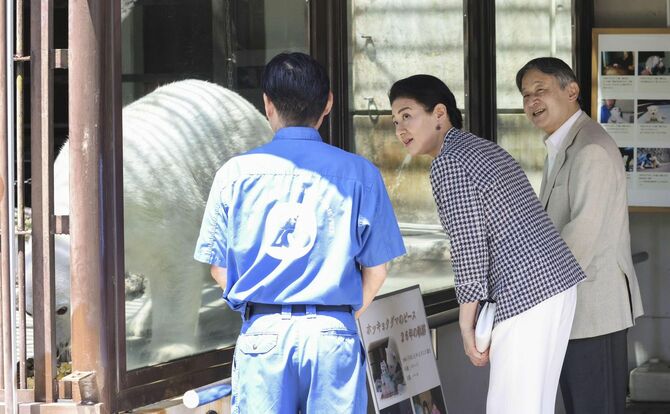 愛媛県砥部町の県立とべ動物園でホッキョクグマの「ピース」を見学される天皇、皇后両陛下＝2026年5月17日午前（代表撮影）