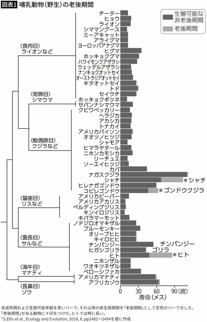 人生の40%は繁殖できない期間…東大教授が生物学的観点から考えたヒトが