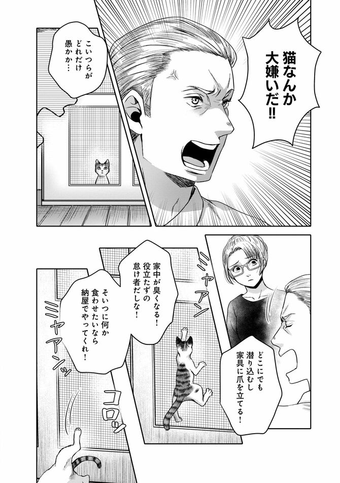 コミック『猫語の教科書』©沙嶋カタナ、ポール・ギャリコ／KADOKAWA