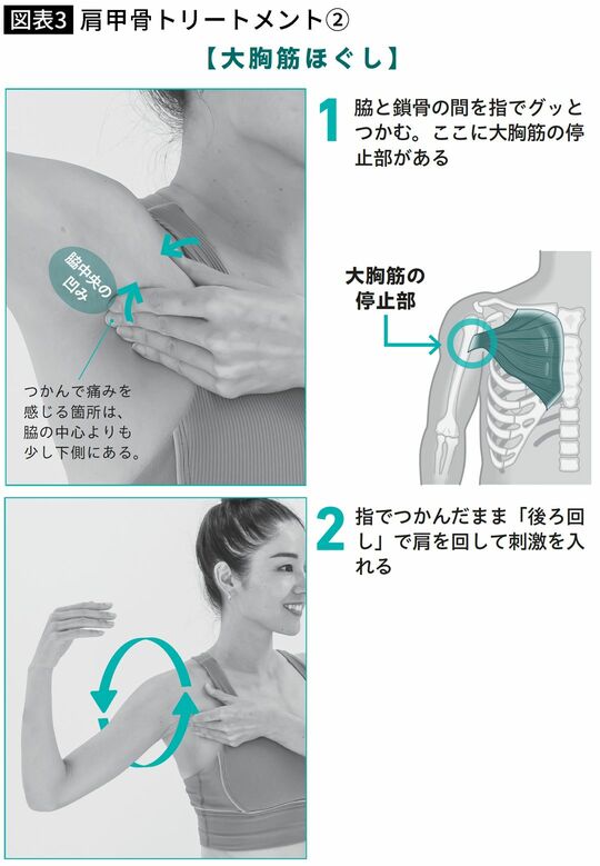 【図表】肩甲骨トリートメント②