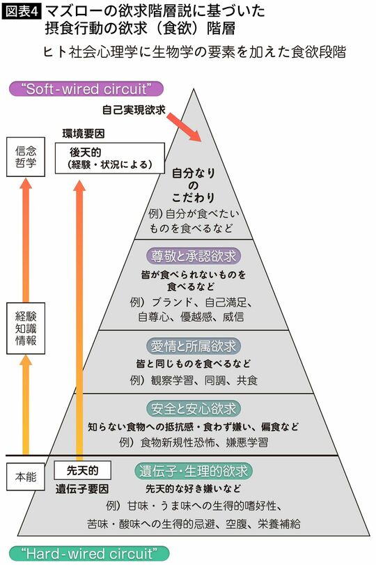 【図表】マズローの欲求階層説に基づいた摂食行動の欲求（食欲）階層