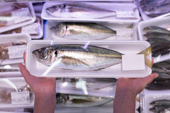 スーパーの鮮魚売り場で、パック詰めのアジを手にしている