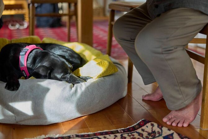 冬でも裸足がまさるさんのトレードマーク。愛犬ヴァトンも、テーブル下の定位置に。