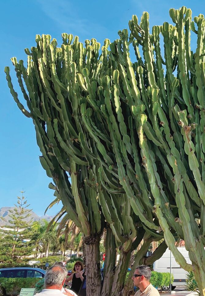 スペインの自然と人