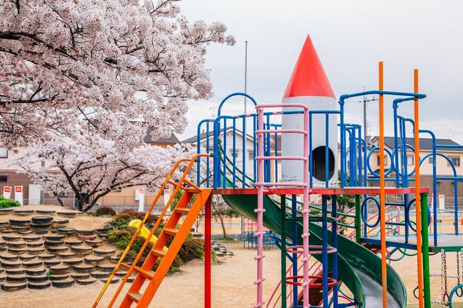 桜が満開な時期のカラフルな遊具がある公園