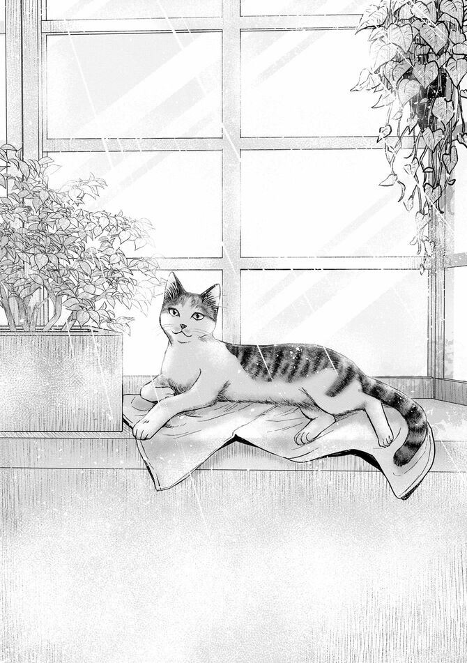 コミック『猫語の教科書』©沙嶋カタナ、ポール・ギャリコ／KADOKAWA