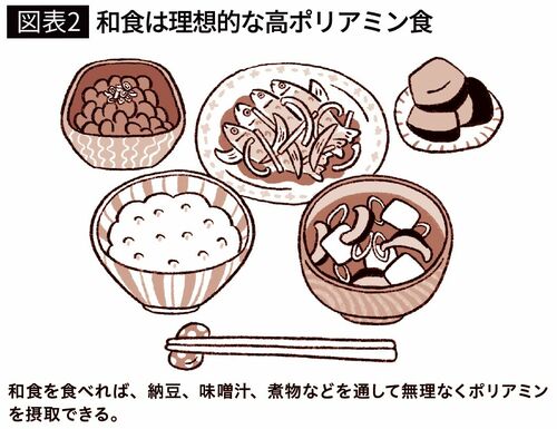 【図表2】和食は理想的な高ポリアミン食