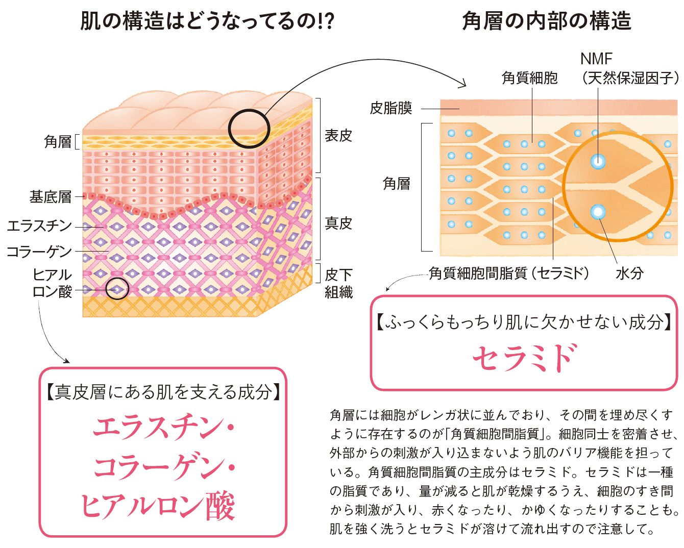 皮膚科医が教える 肌が老化する元凶とは 記事詳細 Infoseekニュース