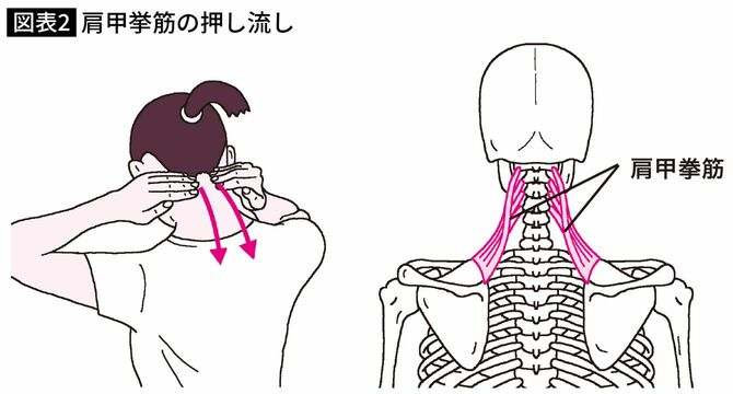 肩甲挙筋の押し流し