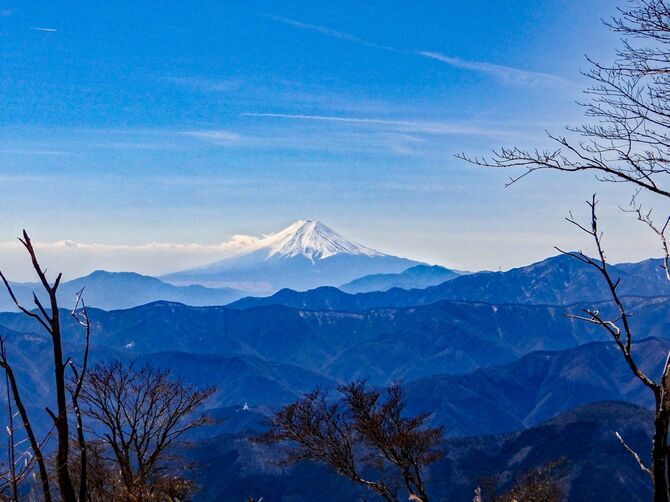 奥多摩高野洲山から富士山を見る