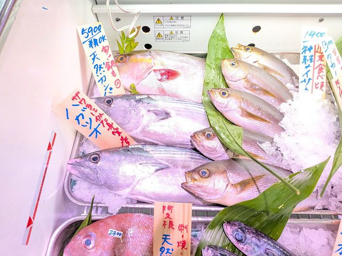 今回取り上げるのはハガツオ。鍋に合う、お買い得の魚です