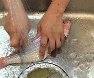 友人宅にて。鱗や皮は身を雑菌や酸化から防ぐ役割をしているので調理する直前に除去したほうが良いとの上田さんの教えを実践中です。