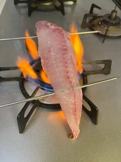叔母宅でタカノハダイを炙り中