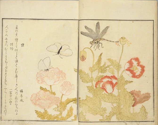 喜多川歌麿 筆 , 宿屋飯盛 撰『画本虫ゑらみ』,耕書堂蔦屋重三郎,天明8 [1788]. 国立国会図書館デジタルコレクション（参照：2025年9月10日）