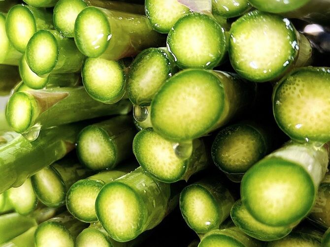 したたるほどの水分量